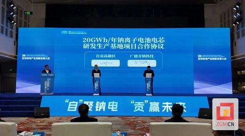 擁抱綠色未來(lái) 2024自貢鈉電產(chǎn)業(yè)創(chuàng)新發(fā)展大會(huì)召開