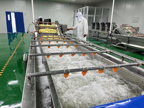 衡水新聞網(wǎng)